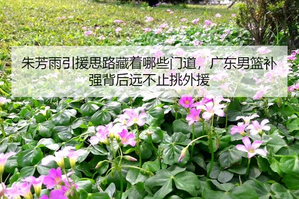 朱芳雨引援思路藏着哪些门道，广东男篮补强背后远不止挑外援